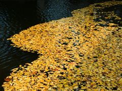 -山东科技大学（青岛校区）-图书馆