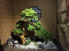 -金指缘足浴(望园路旗舰店)