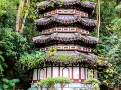 -深圳国际园林花卉博览园