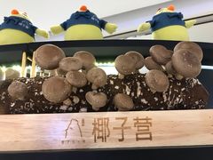 -椰子营·椰子鸡火锅(万象里店)