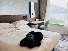 -香港都会海逸酒店