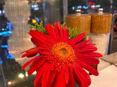 -圣丰索菲特·2 On 988 Café 自助餐厅