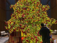 -养云安缦吧THE BAR