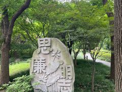 -陈家山荷花公园