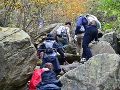 -罗田天堂寨风景区