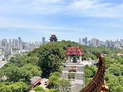 -黄鹤楼公园(黄鹤楼)