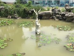 -玉女潭景区