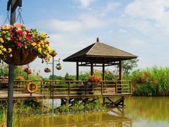 -大湾区中央湿地公园
