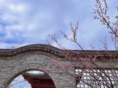 -广富林郊野公园