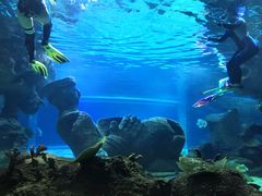-石家庄海洋公园