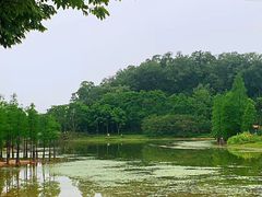 -华南国家植物园-售票处