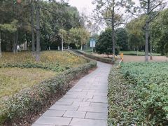 -宁波儿童公园(鄞州区)