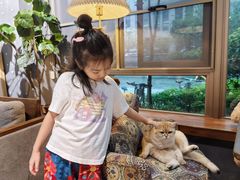 -咖法森林·咖啡  酒吧(天河店)