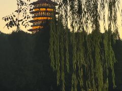 -杭州湖滨in77
