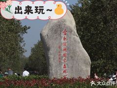 -合肥滨湖国家森林公园