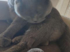 -Me Coffee下午茶艺术空间