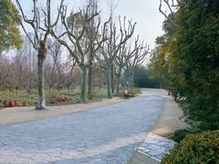 -黄兴公园
