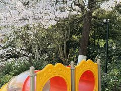 -杭州少年儿童公园