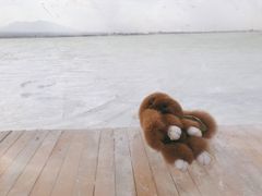 -盐湖景区