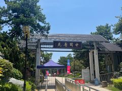 -中国唐苑