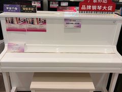 -盛世雅歌琴行·雅马哈钢琴专卖店·电钢琴城·钢琴培训(新辰里学清路店)