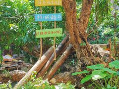 -小洲村