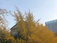 -辽宁大学(崇山校区)