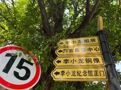 -李小龙乐园(顺德均安店)