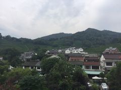 -龙井村