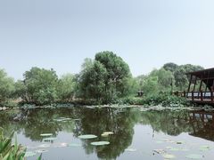 -长兴太湖图影湿地文化园