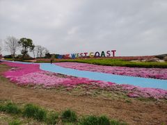 -西海岸生态观光园