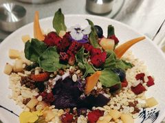 -唐猫庭院·千年陕菜(大唐不夜城店)