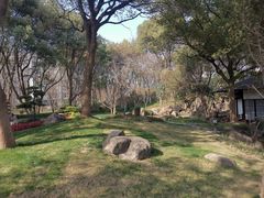 -新洲生态园