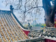 -长春观