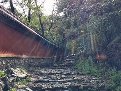 -阳台山自然风景区