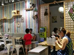 -小时光咖啡馆(开森度假森林店)