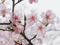 -堤角公园