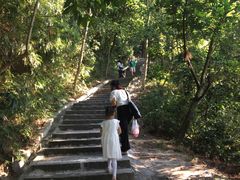 -火炉山森林公园