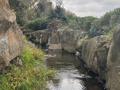 -中国茶叶博物馆(双峰馆区)