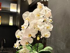 -浩运·海鲜青岛菜·海胆水饺(石老人店)