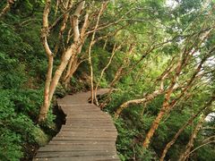 -白草畔自然风景区