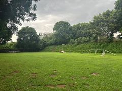 -良成狗狗乐园