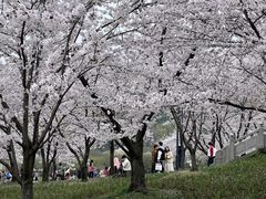 -苏州上方山国家森林公园