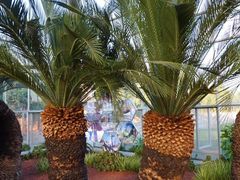 -南通洲际绿博园