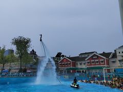 -海合安成都极地海洋公园