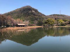 -八卦田遗址公园