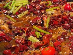 -老板恋上鱼(印象城店)