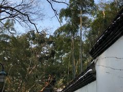 -杭州黄龙洞
