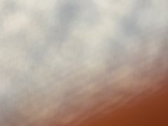 -小杨烤肉(朱雀店)