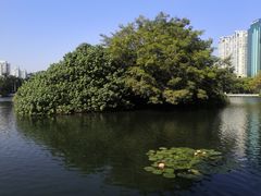 -荔枝公园(福田区)